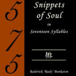 Snippets of Soul in Seventeen Syllables